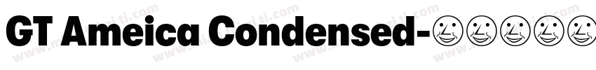 GT Ameica Condensed字体转换